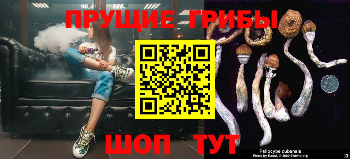 Галлюциногенные грибы Cubensis Городец