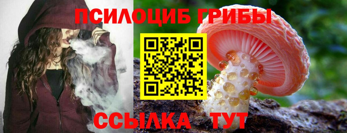 Псилоцибиновые грибы мухоморы  Вход с VPN  Галлюциногенные грибы мицелий  Городец 